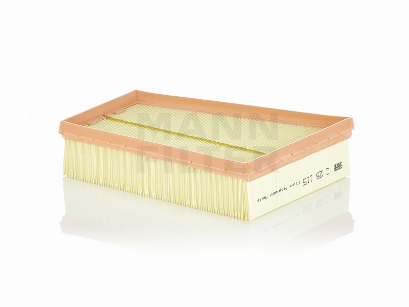 Air filter