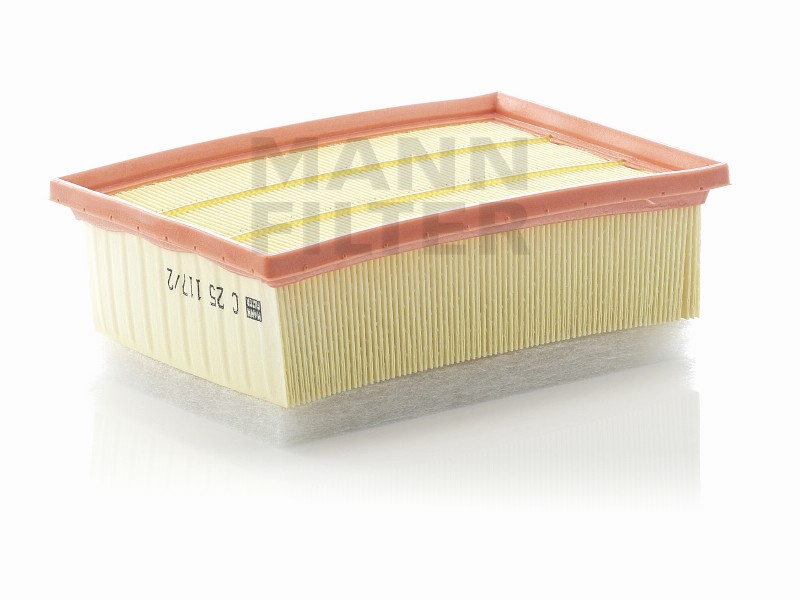 Filtro aria Citroën C4