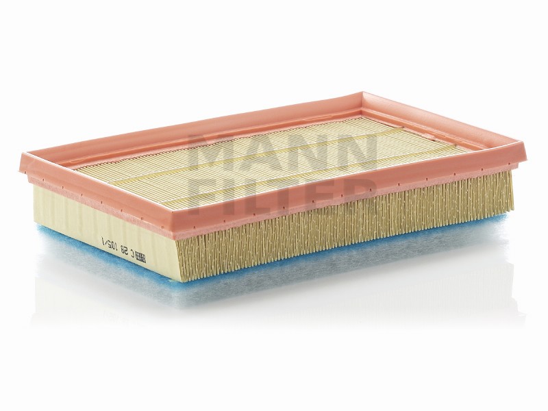 Filtro aria Fiat bravo (198)