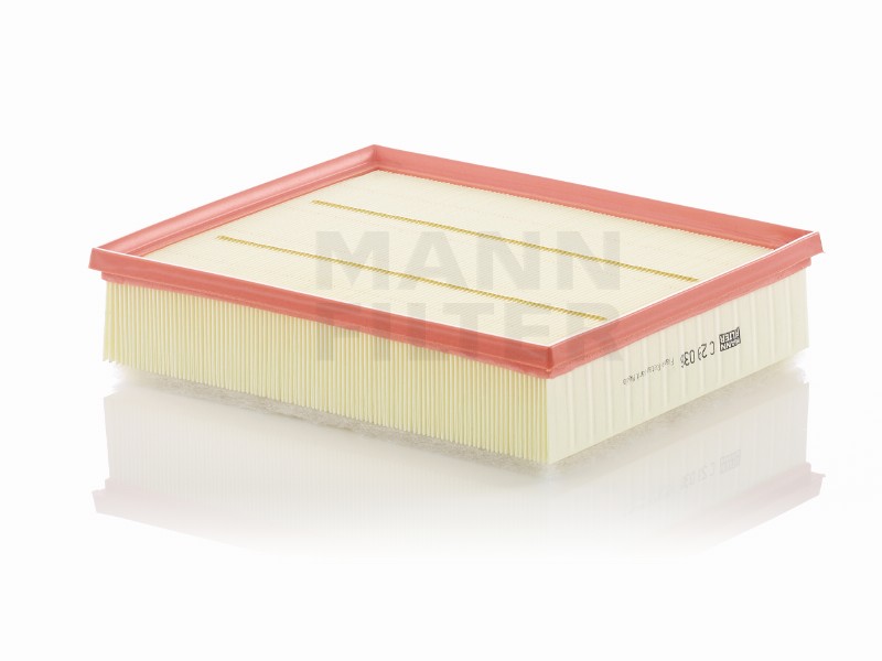 Air filter