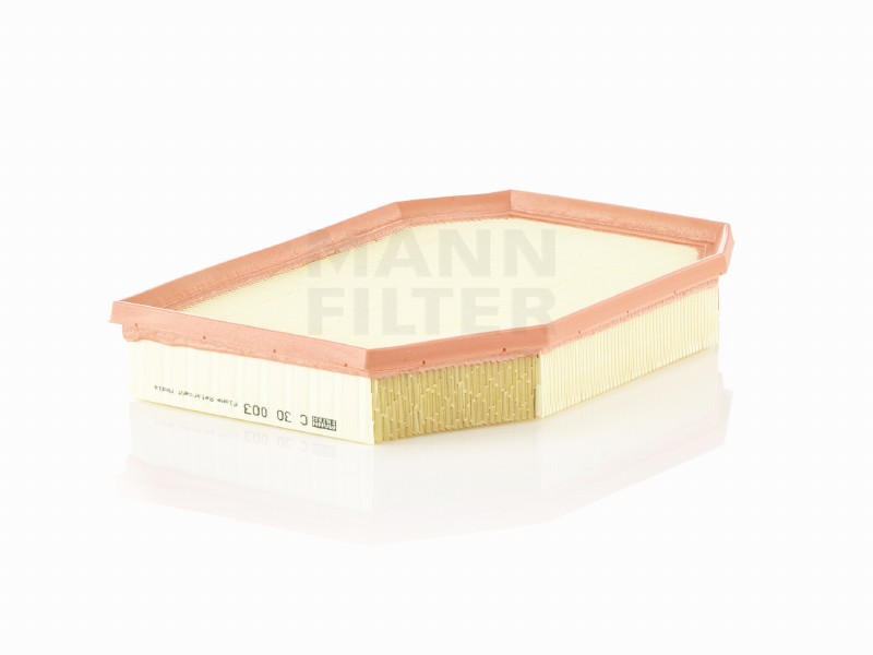 Filtro aria BMW 5 (F10/F11/F18)