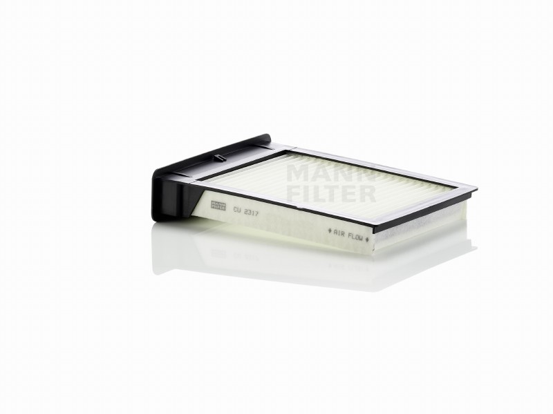 Filtro abitacolo BYD F0