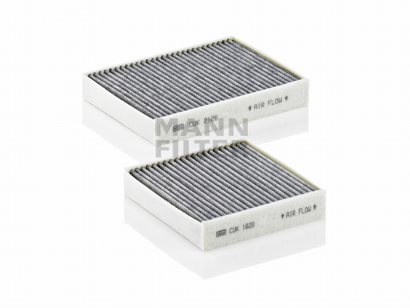 Filtro abitacolo c.a. Citroën C3 II (A51)
