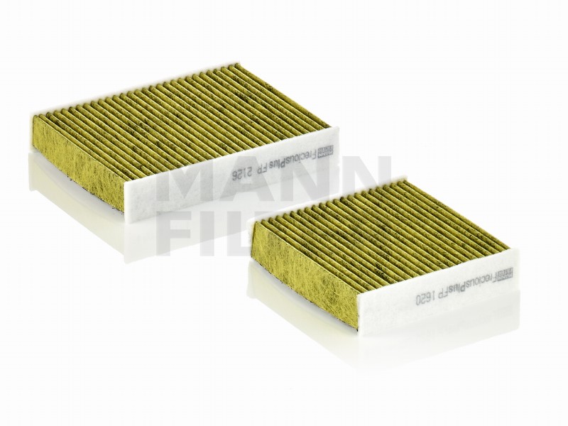 Filtro abitacolo polifenolo Citroën C3 II (A51)
