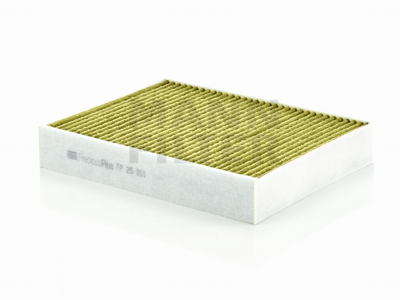 Filtro abitacolo polifenolo BMW 1 (F20/F21)