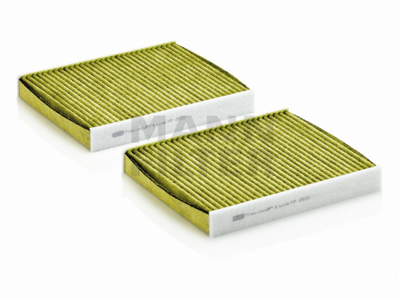 Filtro abitacolo polifenolo BMW 5 (F10/F11/F18)