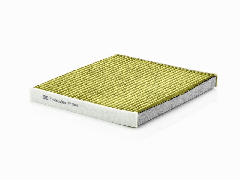 Filtro abitacolo polifenolo Citroën jumper III (relay III)