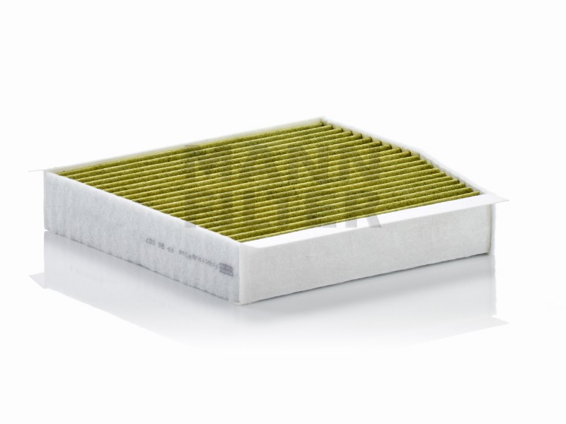 Filtro abitacolo polifenolo Infiniti Q30/QX30 (H15E)
