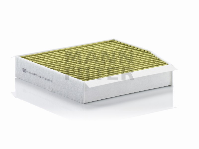 Filtro abitacolo polifenolo Infiniti Q30/QX30 (H15E)