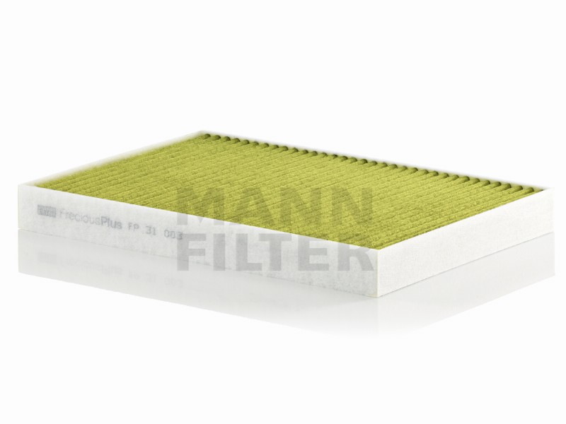 Filtro abitacolo polifenolo Audi A4 (8W)