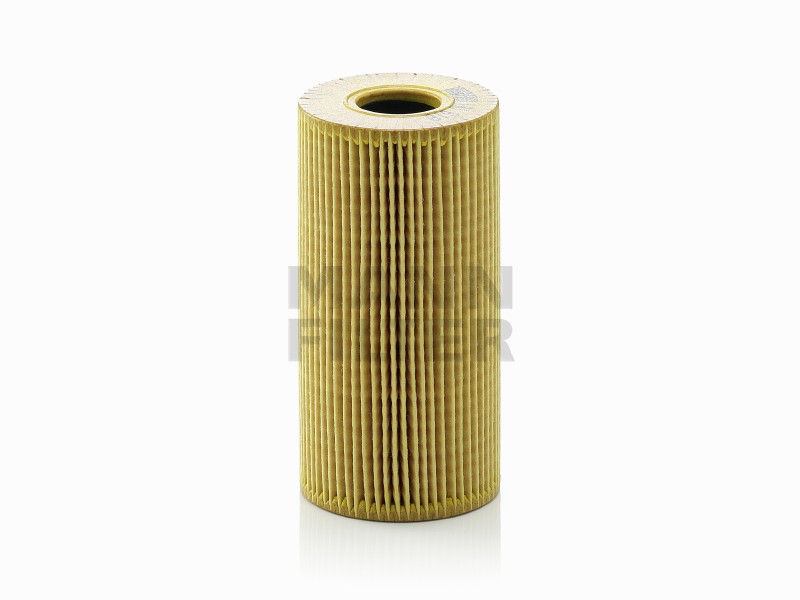 Filtro olio av Renault ( 10 )