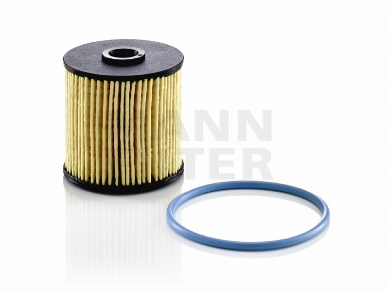 F.carb.vit.C3/C4 cactus/Ford