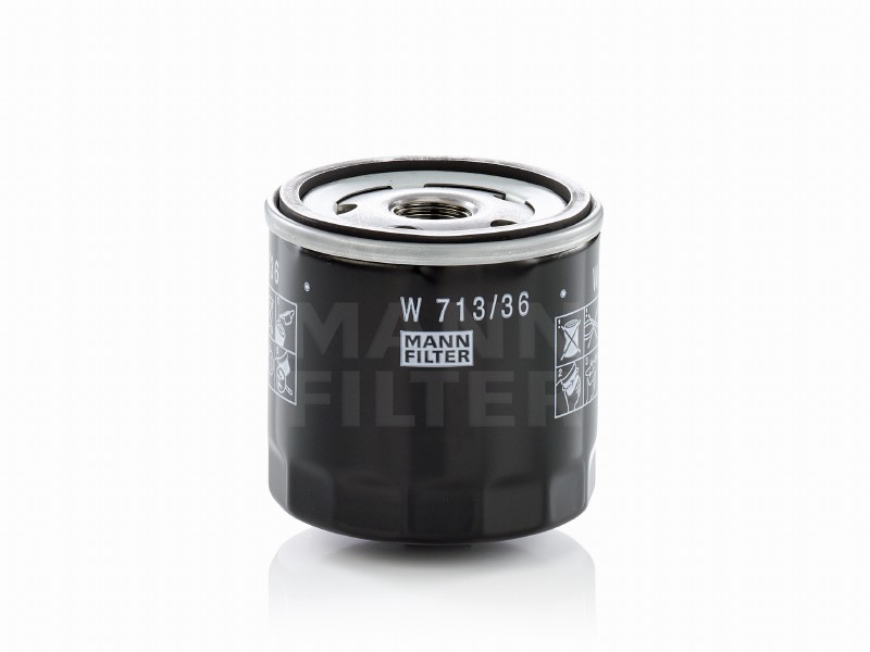 Filtro olio Ford endeavour