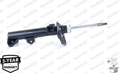 Ammortizzatore OE spectrum Mercedes cls anteriore