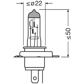 Original H19 12V H19