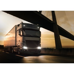 Truckstar© pro PY21W 24V PY21W