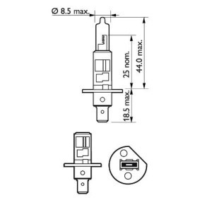 PHILIPS VisionPlus 12258VPB1 Lampadina, faro di profondità H1 12V 55W3000K Alogeno