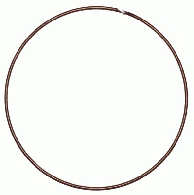 SACHS 3018 085 000 / Anello tenuta, Disco di disinnesto