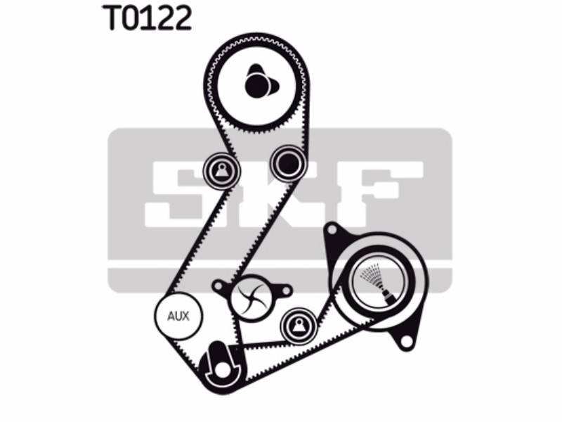 Kit tendicinghia completo Ford