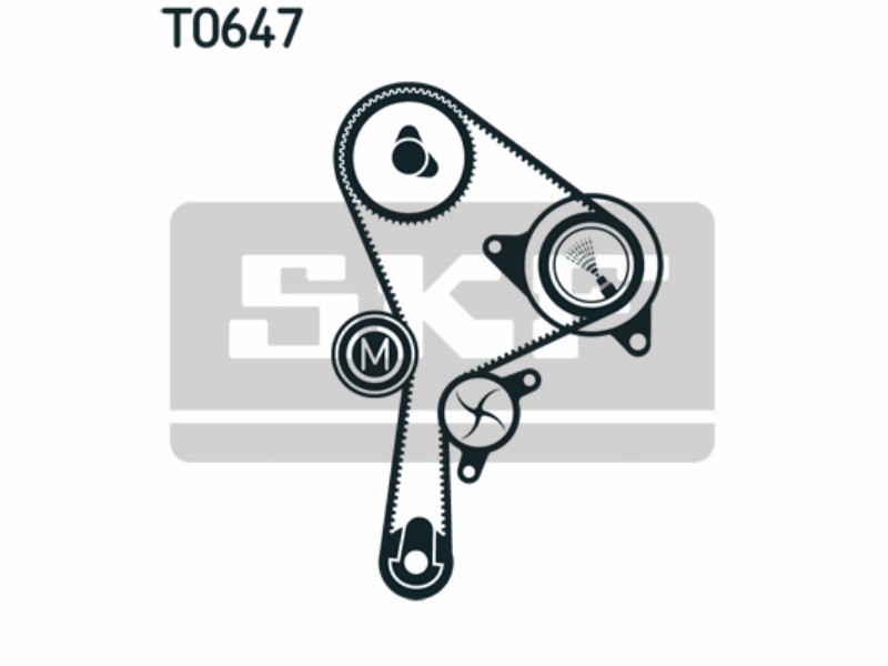 Kit tendicinghia III hatchback (BZ0_) 1.9 dCi (BZ0N, BZ0J)