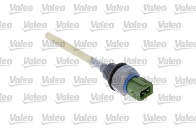 Engine sensor oil level