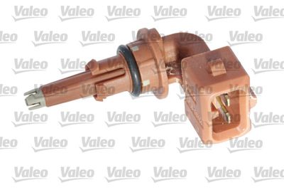 Engine sensor air intake temperature