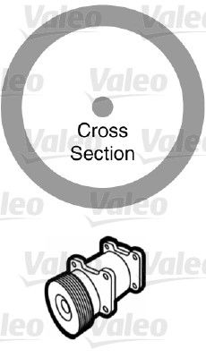 Toroidal O-ring (20 pcs)