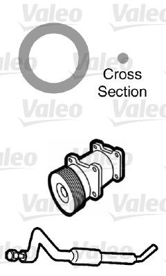 Kit o.ring Seat
