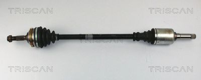 WALKER 28594 / Catalizzatore