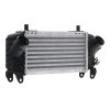 DENSO DIT09119 Intercooler per FIAT Panda III Hatchback (312, 319) Alluminio