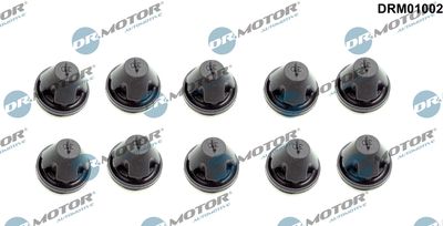 DENSO DRM01002 / Radiatore, Raffreddamento motore