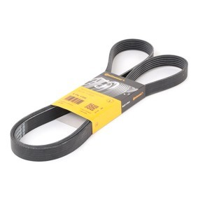 Cinghia Poly-V 6 pk 1705 peu 306 1.9 DS, t