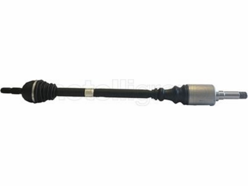 Drive shaft