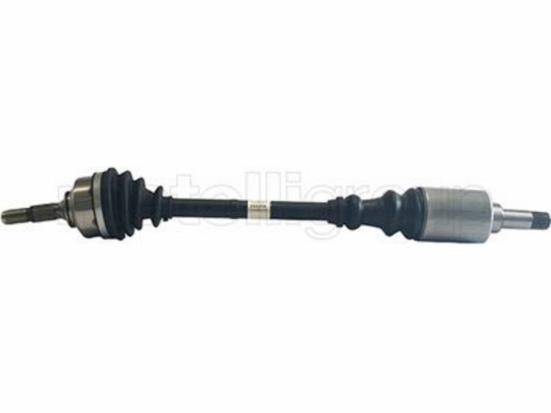 Drive shaft