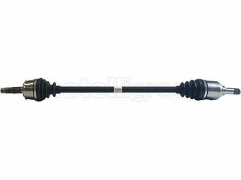 Drive shaft