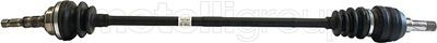 CIFAM 655-555 / Albero motore/Semiasse