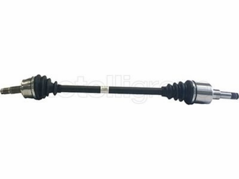 Drive shaft