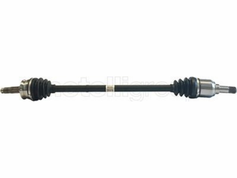 Drive shaft