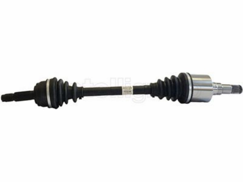 Drive shaft