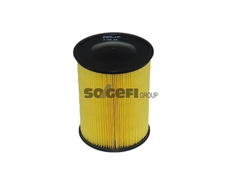 Filtro aria Ford