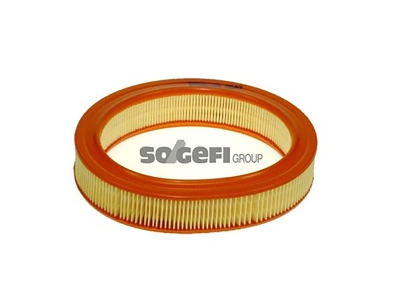 Filtro Ford escort III (gaa) escort IV (gaf, awf,