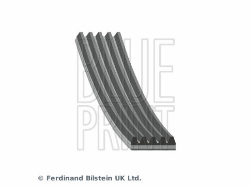 Cinghia ausiliaria Subaru forester III 4WD (S12) 2.0 1