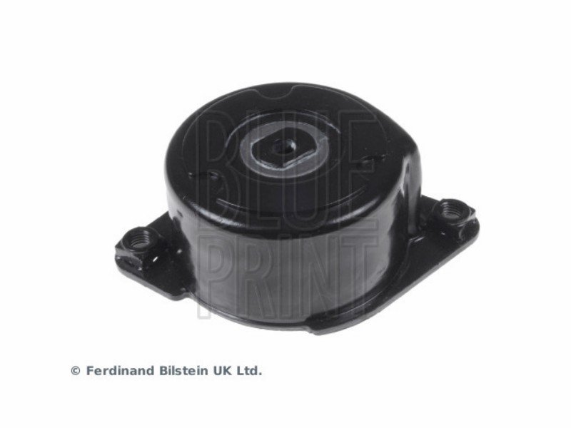 Tensionatore idraulico BMW 3.0 d - 135 kw / 184 hp 330 - 1