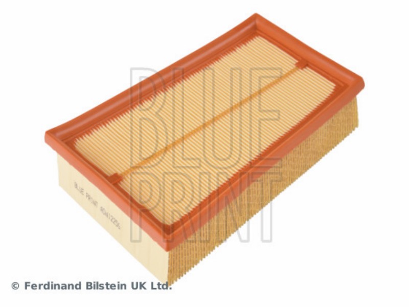 Filtro aria dualis (J10) 1.6 dCi 16V dua