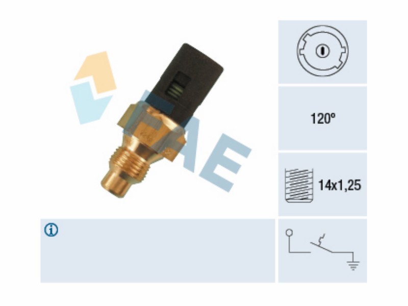 Water temperature warning switch