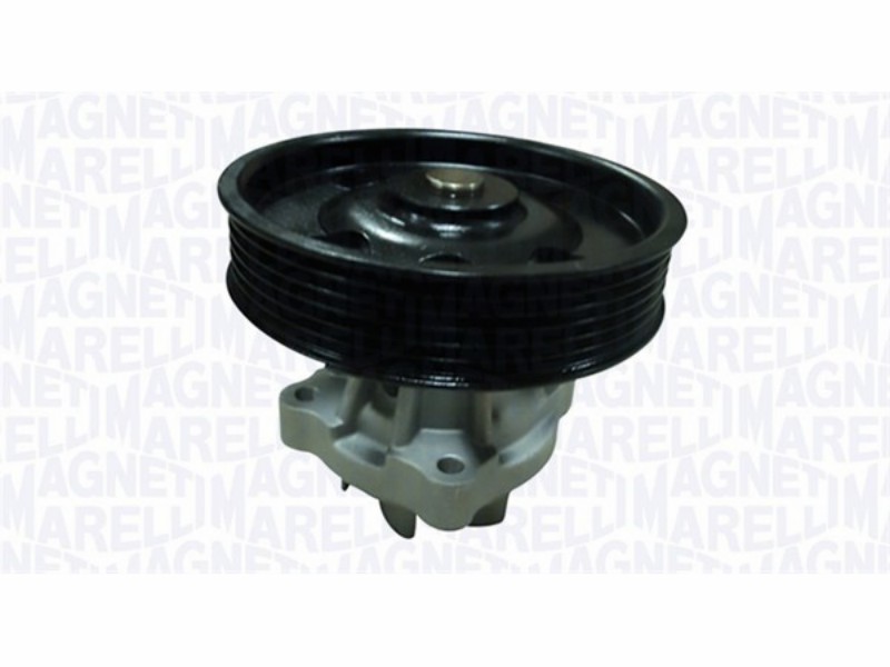 Water pump Fiat