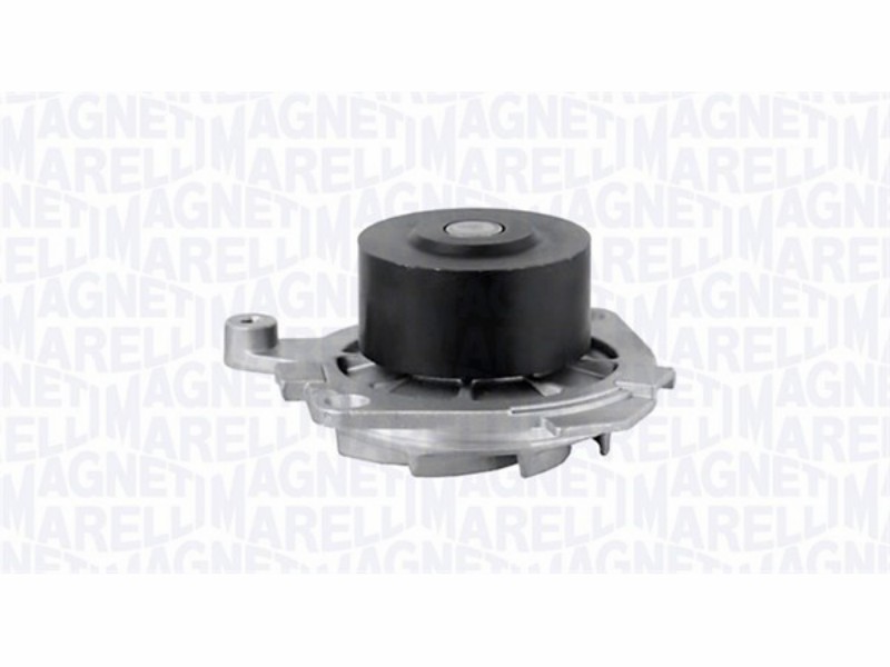 Water pump Fiat