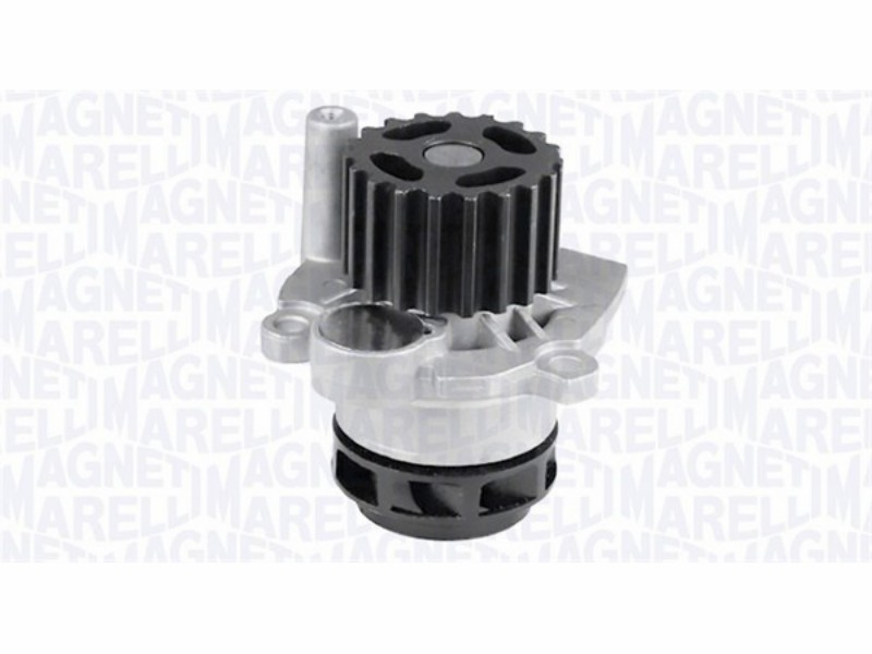 Water pump Audi