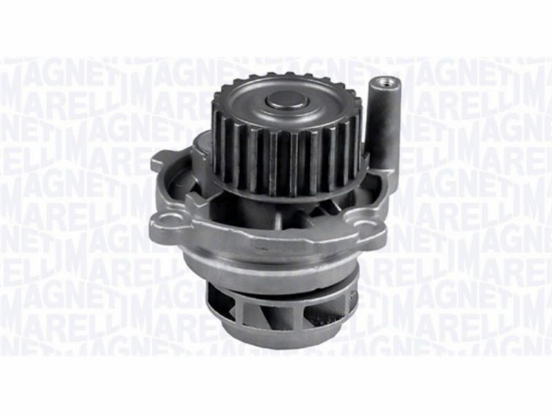 Water pump Audi