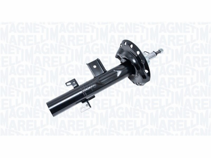 Ammortizzatore Land Rover freelander 2 (fa)